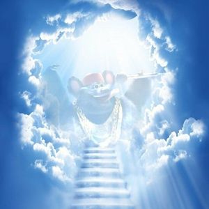 Meet your Posher, Stacey